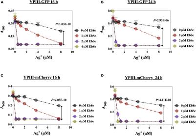 The Assessment on Synergistic Activity of Ebselen and Silver Ion Against Yersinia pseudotuberculosis